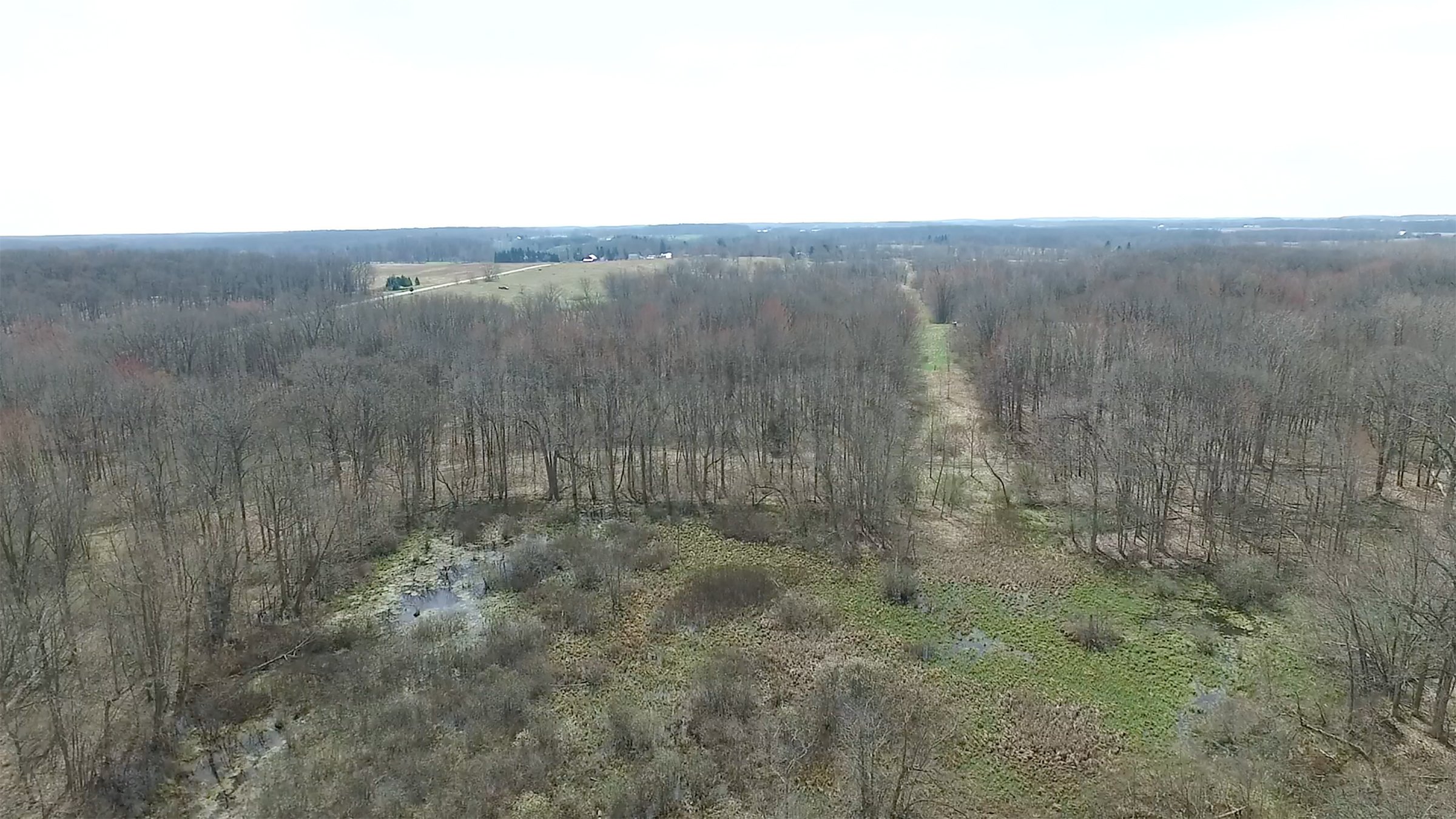 Property photo 24 - ONCE IN A LIFETIME OPPORTUNITY AUCTION - 183+/- ACRES IN 27 TRACTS IN BRANCH COUNTY, MICHIGAN